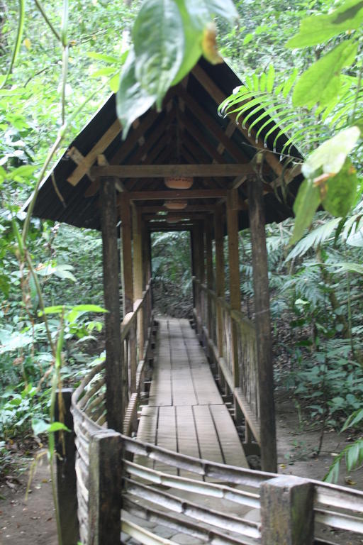 Reserva Ecologica Nanciyaga Catemaco Dış mekan fotoğraf