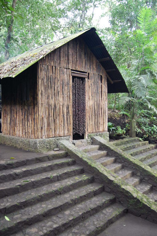 Reserva Ecologica Nanciyaga Catemaco Dış mekan fotoğraf