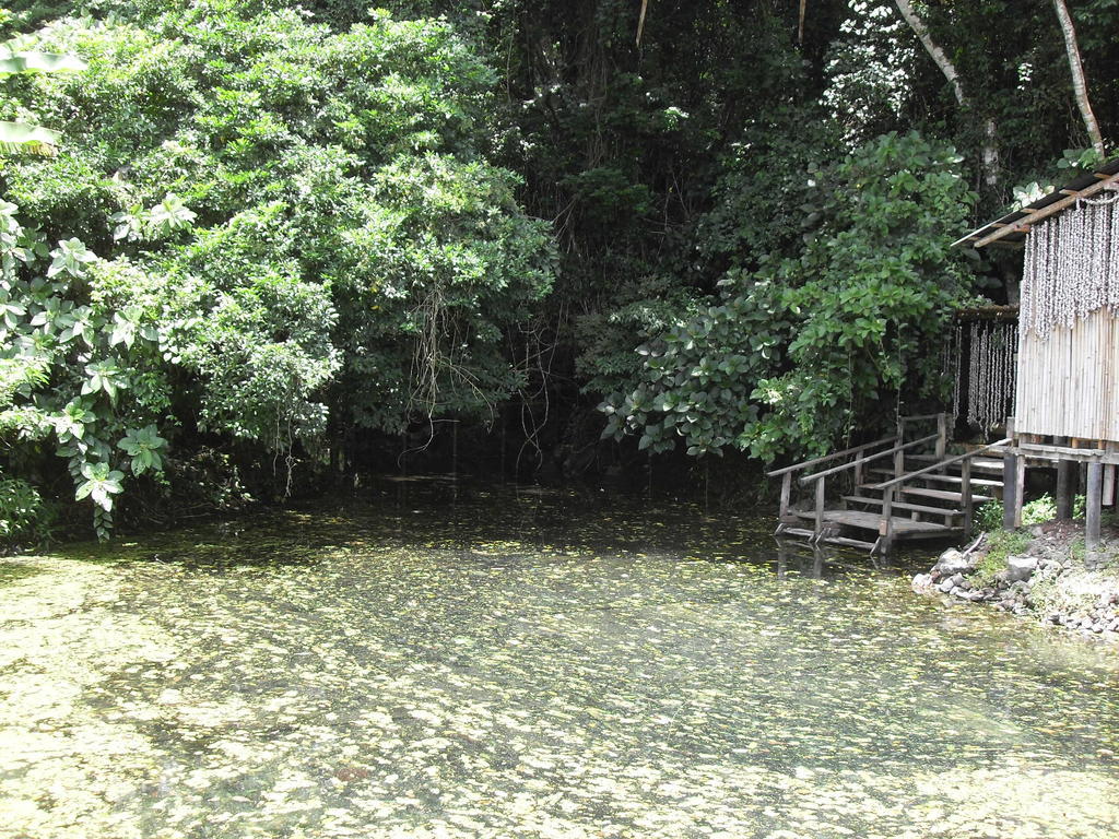 Reserva Ecologica Nanciyaga Catemaco Dış mekan fotoğraf