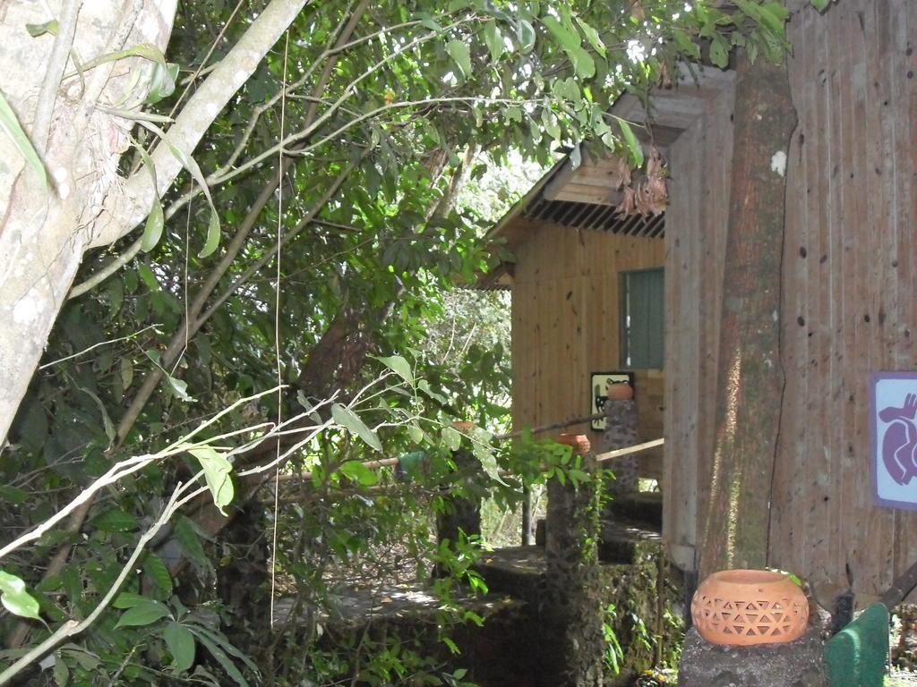 Reserva Ecologica Nanciyaga Catemaco Oda fotoğraf