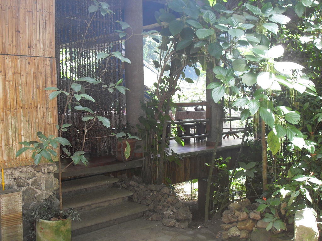 Reserva Ecologica Nanciyaga Catemaco Dış mekan fotoğraf