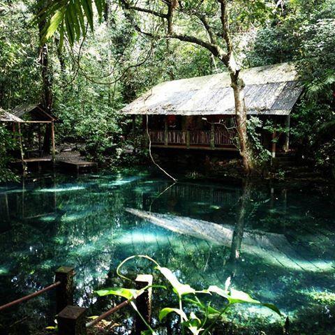 Reserva Ecologica Nanciyaga Catemaco Dış mekan fotoğraf