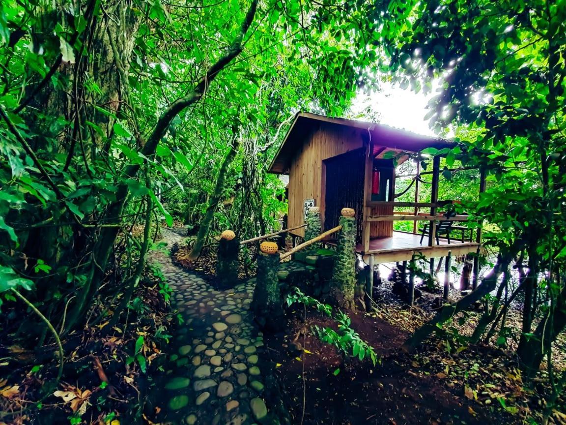 Reserva Ecologica Nanciyaga Catemaco Dış mekan fotoğraf